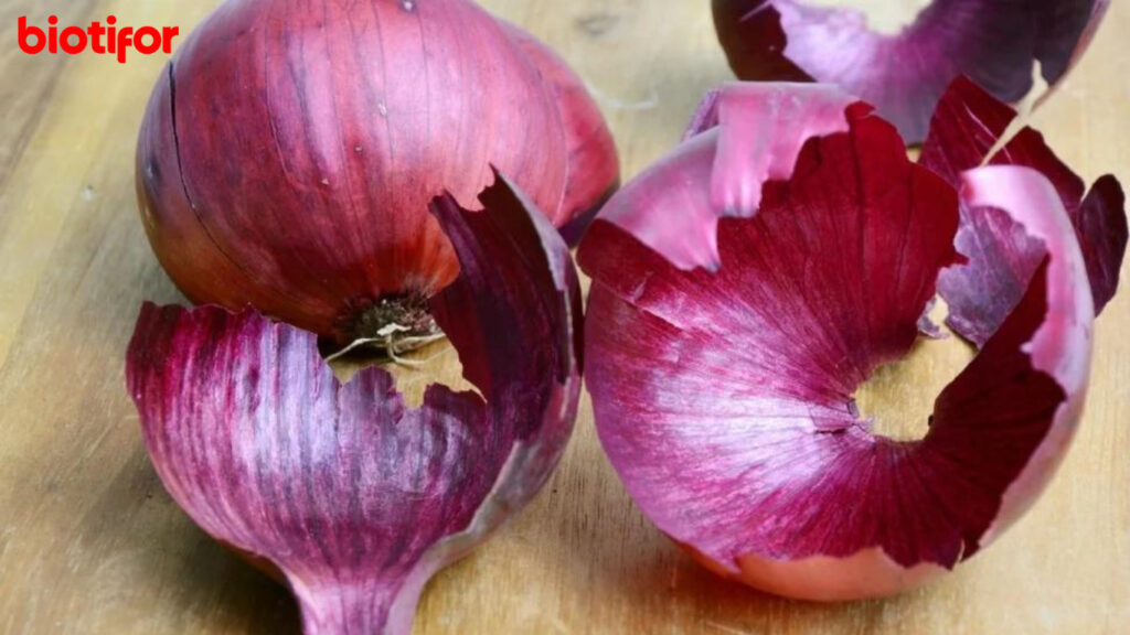 Manfaat Kulit Bawang Merah untuk Tanaman