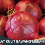 Manfaat Kulit Bawang Merah untuk Tanaman