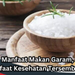 Manfaat Makan Garam