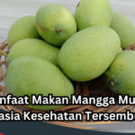 Manfaat Makan Mangga Muda