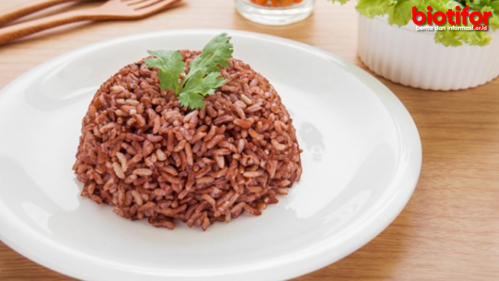 Manfaat Makan Nasi Merah