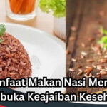 Manfaat Makan Nasi Merah