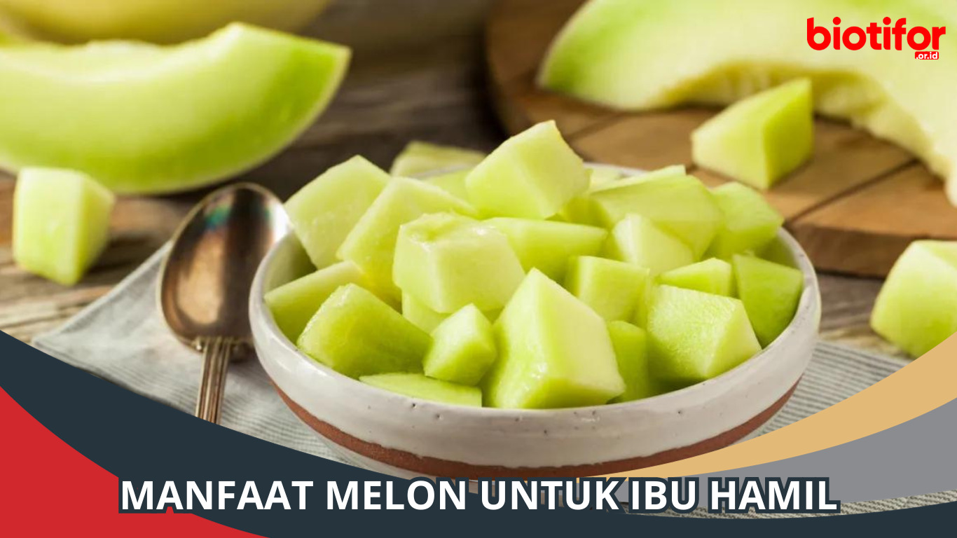 Manfaat Melon untuk Ibu Hamil: Keajaiban Buah Segar