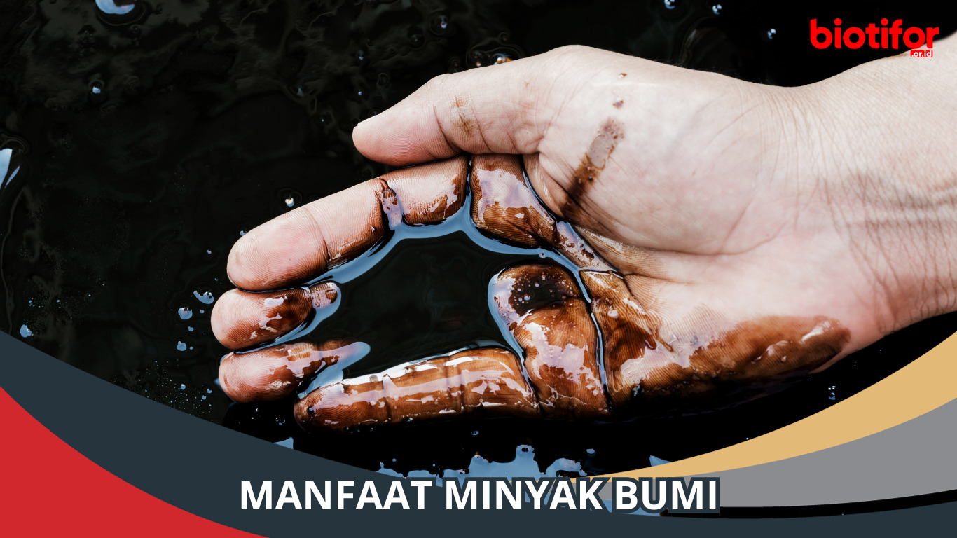 Manfaat Minyak Bumi dalam Kehidupan Sehari-hari