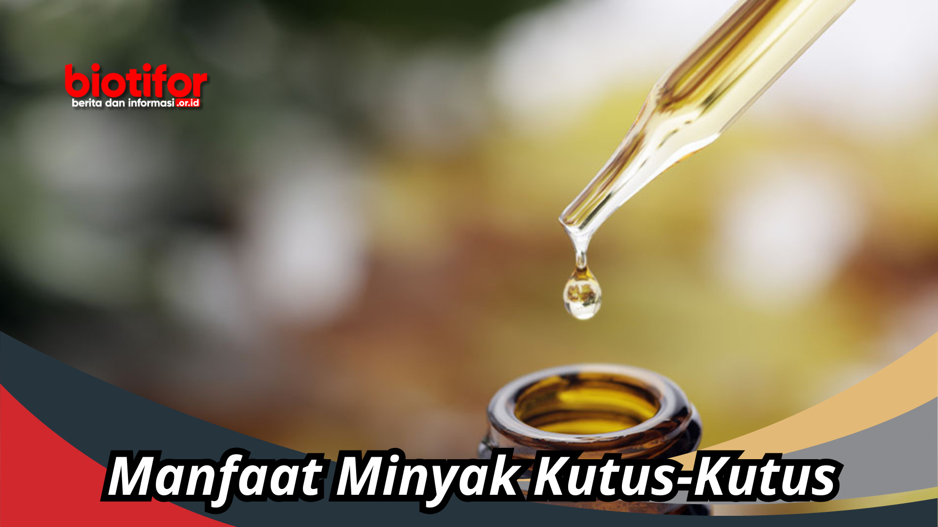 Manfaat Minyak Kutus-Kutus Untuk Kesehatan Fisik Dan Mental