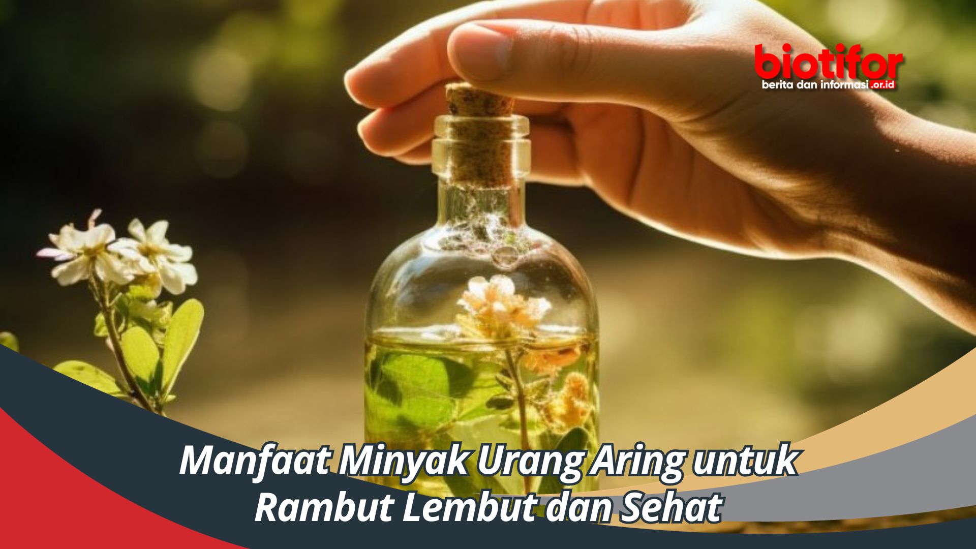 Manfaat Minyak Urang Aring untuk Rambut Lembut dan Sehat