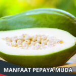 Manfaat Pepaya Muda