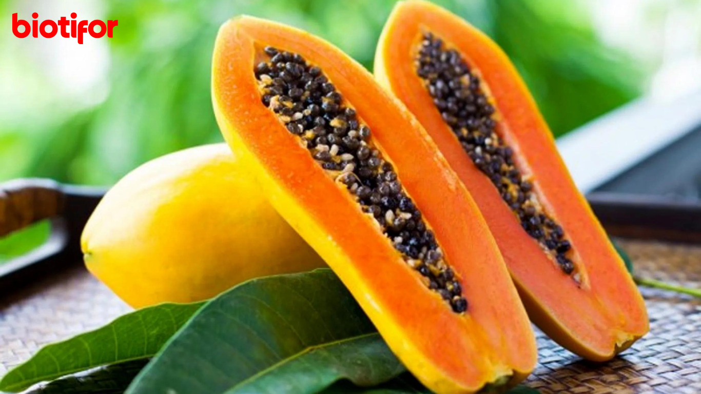 Manfaat Buah Pepaya untuk Bayi 9 Bulan: Nutrisi dan Cara Pemberian yang Tepat