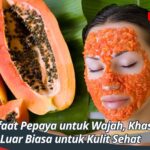 Manfaat Pepaya untuk Wajah, Khasiat Luar Biasa untuk Kulit Sehat