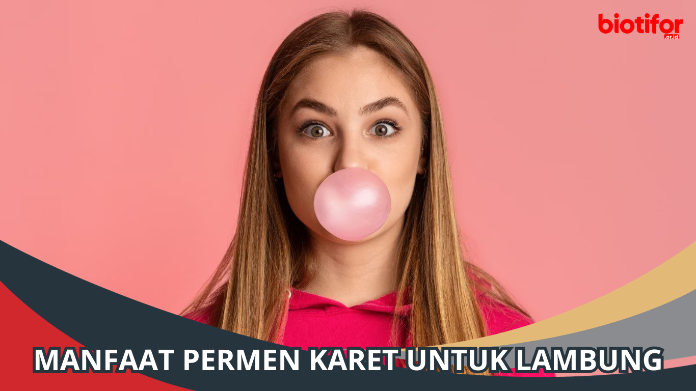 Manfaat Permen Karet untuk Lambung