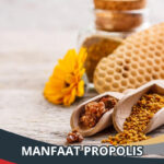 Manfaat Propolis