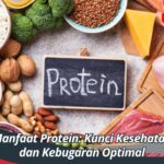 Manfaat Protein: Kunci Kesehatan dan Kebugaran Optimal