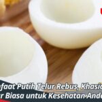 Manfaat Putih Telur Rebus, Khasiat Luar Biasa untuk Kesehatan Anda