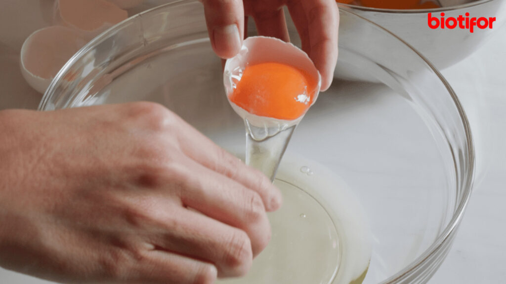 Manfaat Putih Telur untuk Rambut
