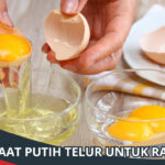 Manfaat Putih Telur untuk Rambut