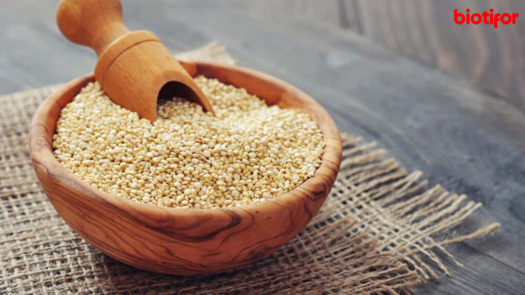 Manfaat Kesehatan Quinoa