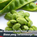 Manfaat Rebusan Kulit Petai: Khasiat Luar Biasa yang Tersembunyi