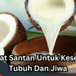 Manfaat Santan Untuk Kesehatan