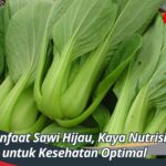 Manfaat Sawi Hijau, Kaya Nutrisi untuk Kesehatan Optimal