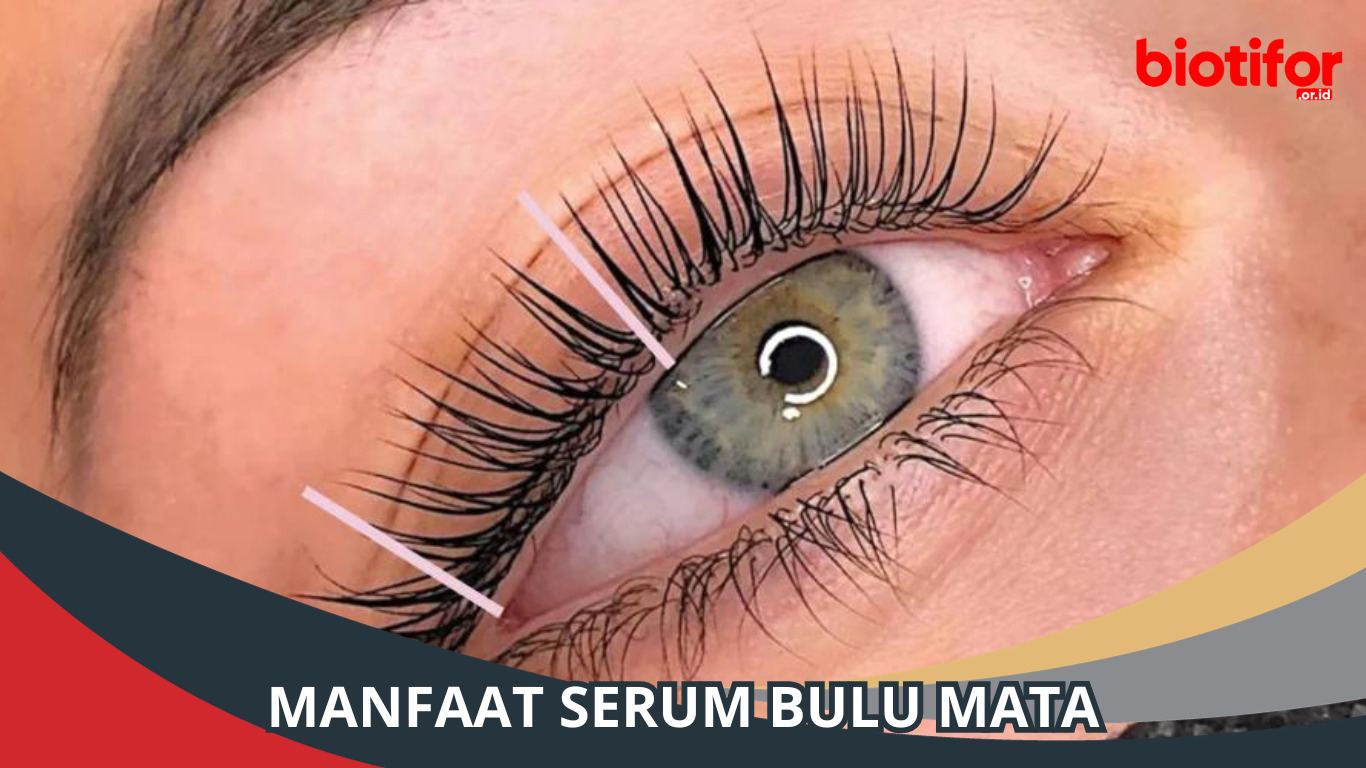 Manfaat Serum Bulu Mata
