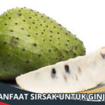 Manfaat Sirsak untuk Ginjal