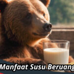 Manfaat Susu Beruang