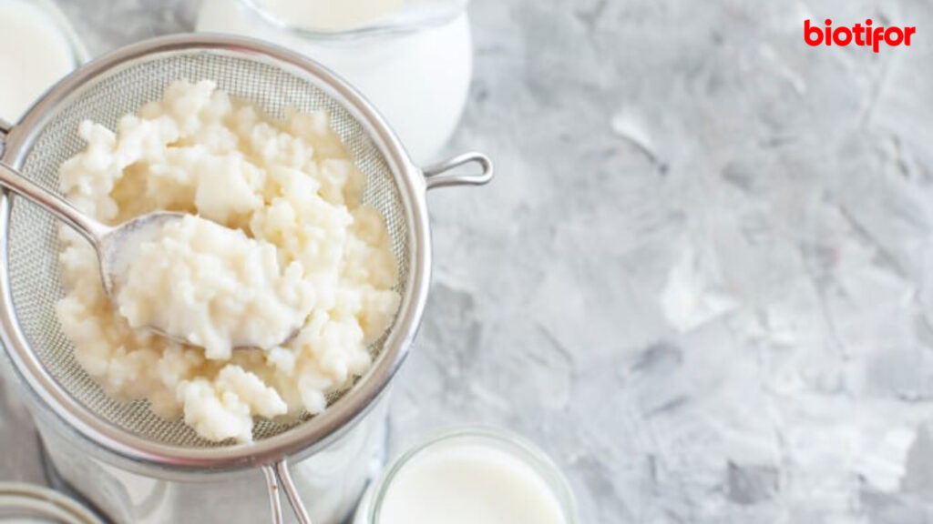 Manfaat Susu Kefir untuk Kesehatan