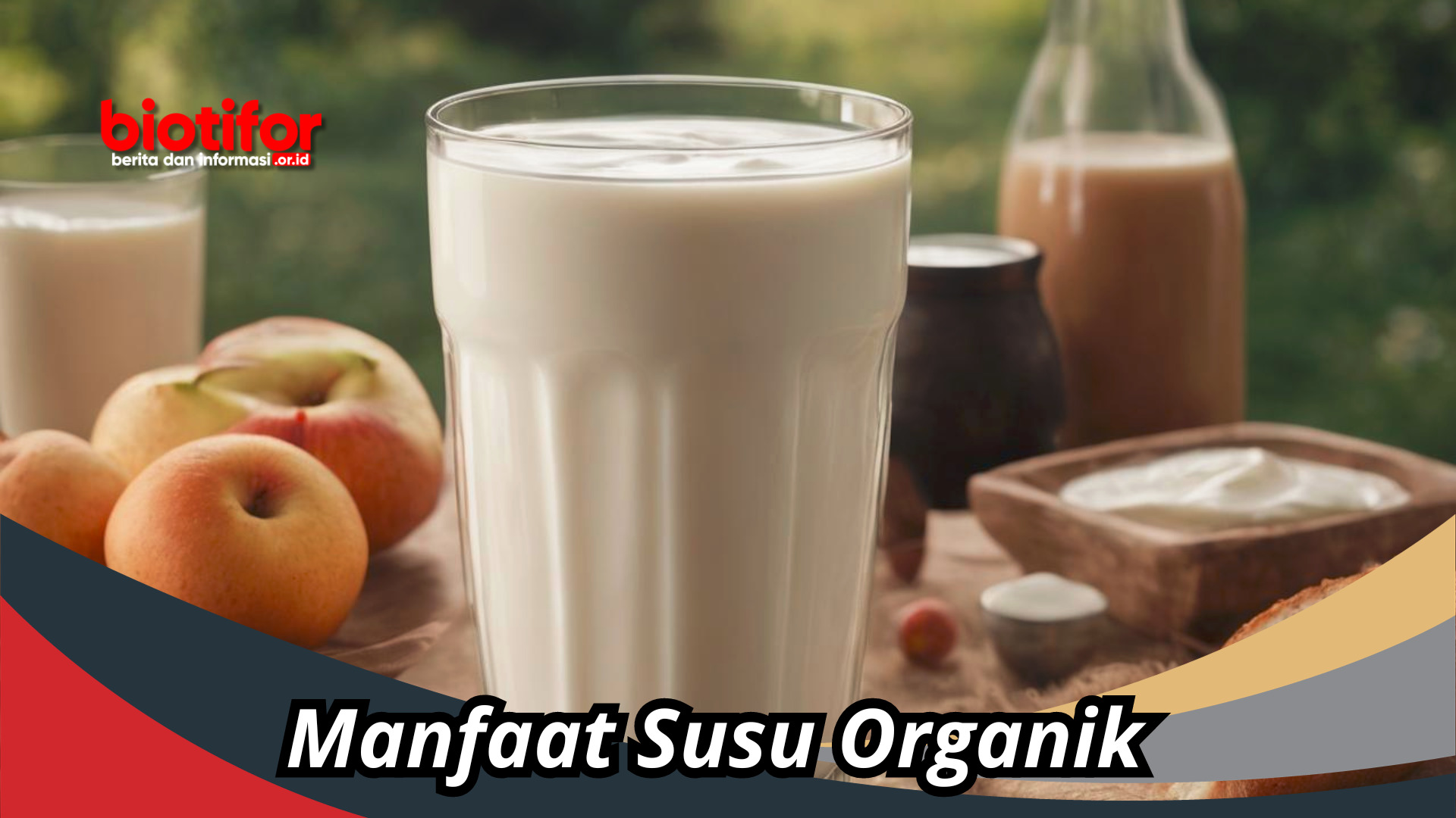 Manfaat Susu Organik