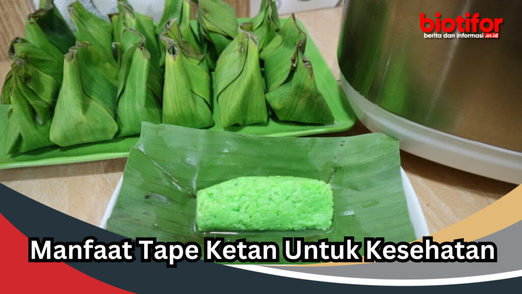 Manfaat Tape Ketan Untuk Kesehatan Biotifor