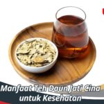 Manfaat Teh Daun Jati Cina untuk Kesehatan