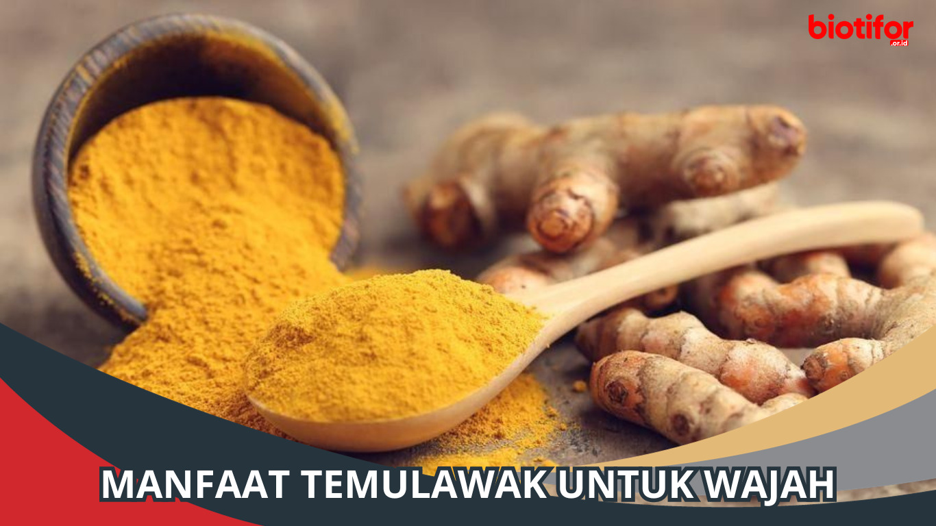 Manfaat Temulawak untuk Wajah: Keindahan Alami yang Terbukti