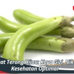 Manfaat Terong Hijau: Kaya Gizi, Nikmati Kesehatan Optimal