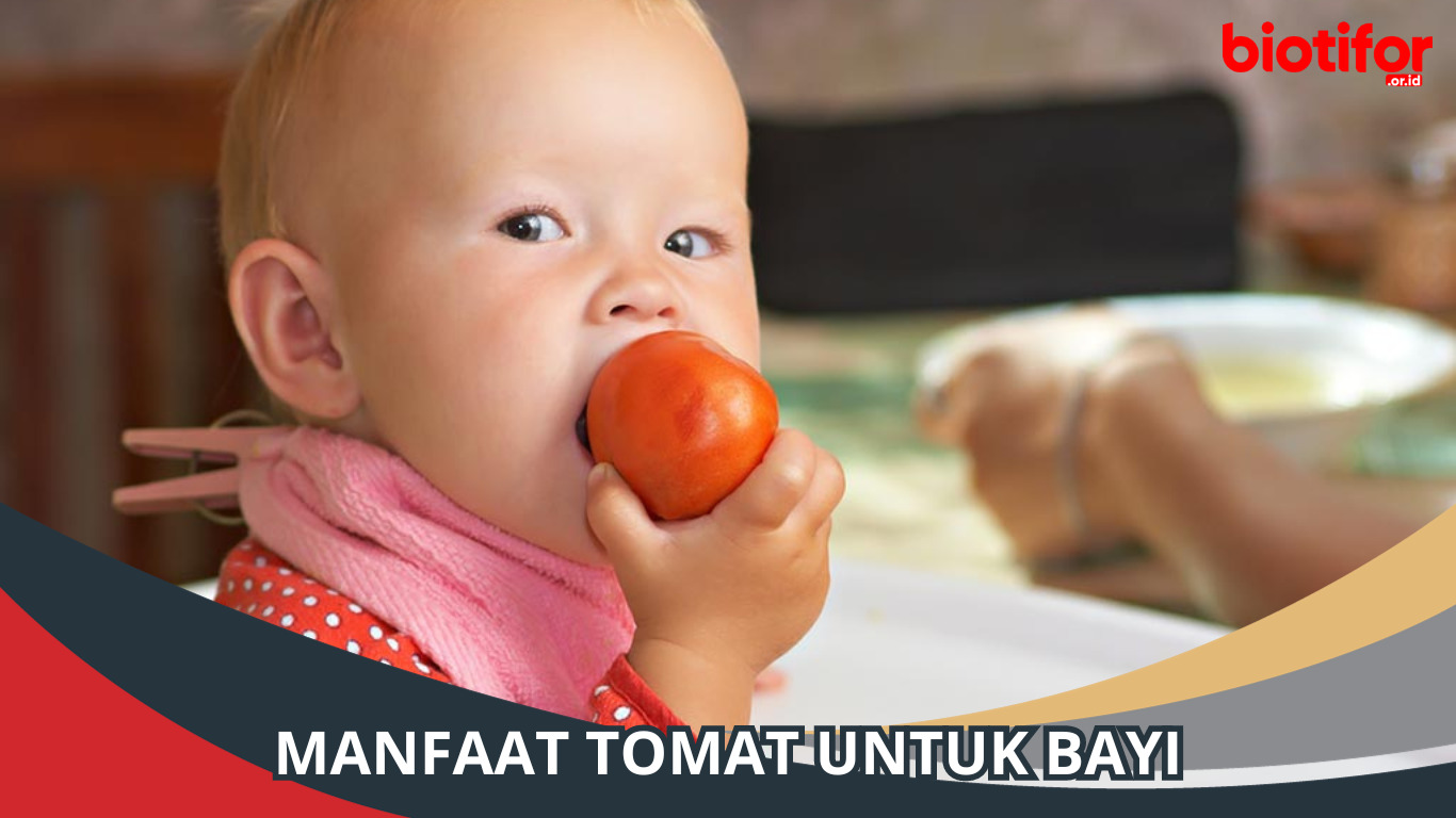 Manfaat Tomat untuk Bayi
