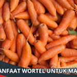 Manfaat Wortel untuk Mata