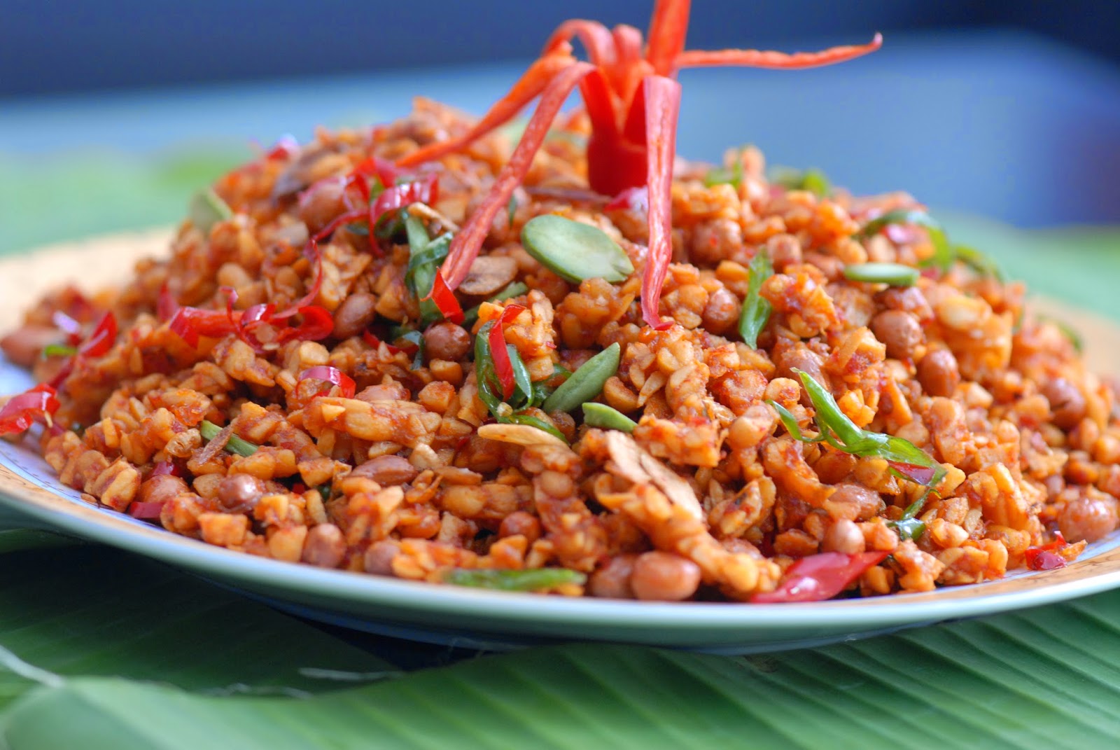 Cara Memasak Tempe Kering