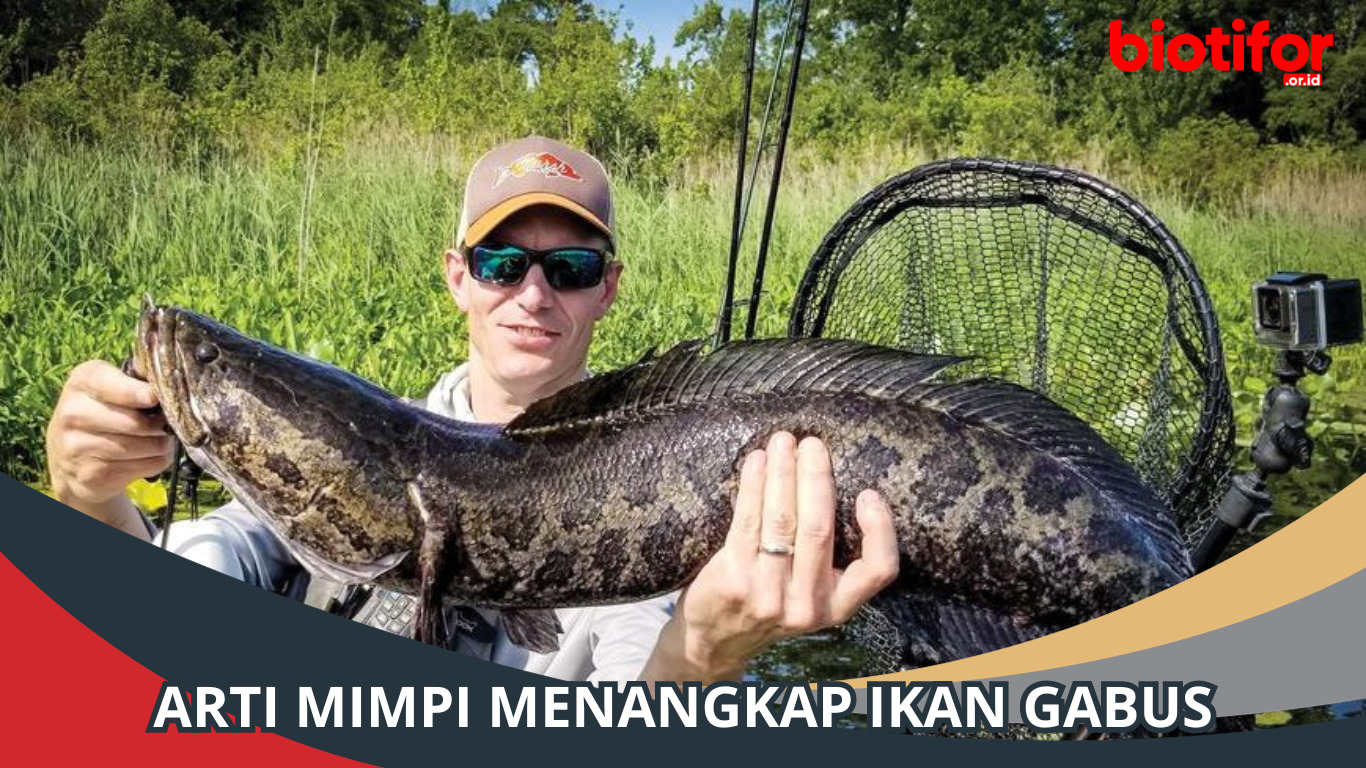 Menggali Makna di Balik Mimpi Menangkap Ikan Gabus