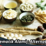 Obat Rematik Alami