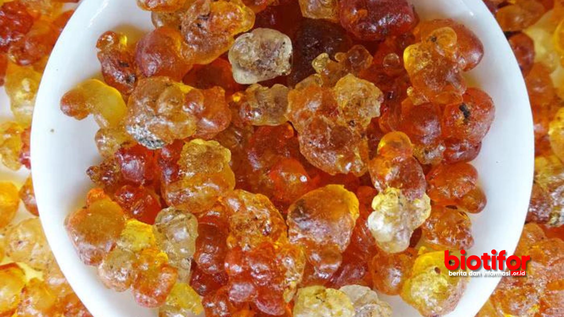 Manfaat Peach Gum Keajaiban Tersembunyi dari Getah Buah Persik