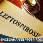 Pencegahan Leptospirosis