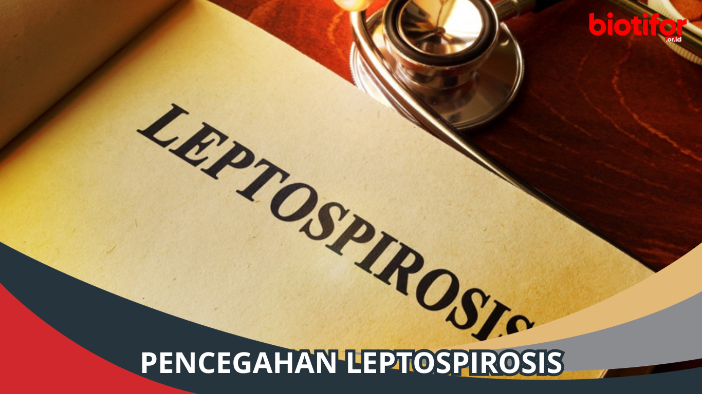 Pencegahan Leptospirosis