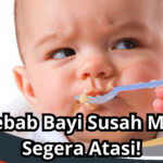 Penyebab Bayi Susah Makan