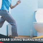 Penyebab Sering Buang Air Kecil