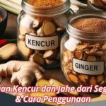 Perbedaan Kencur dan Jahe dari Segi Warna & Cara Penggunaan