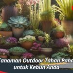 Tanaman Outdoor Tahan Panas untuk Kebun Anda