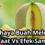 bahaya buah melon