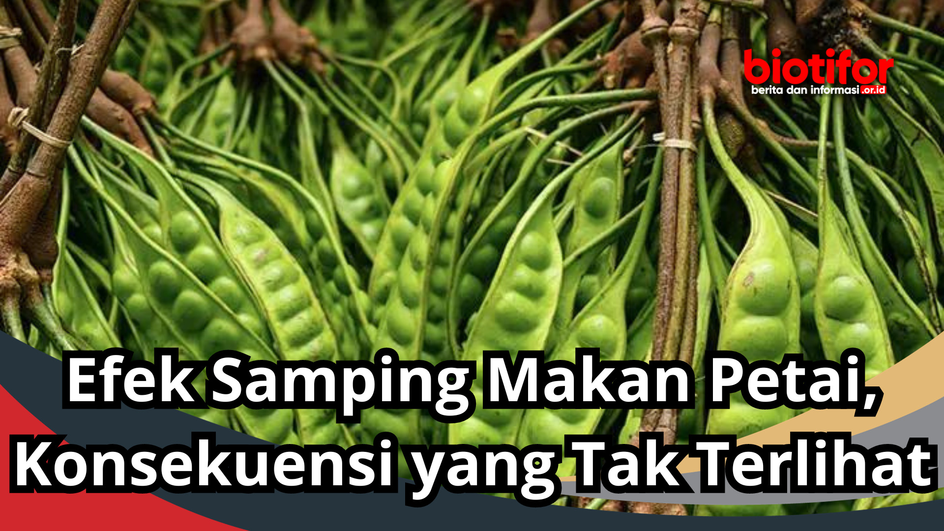 Efek Samping Makan Petai, Konsekuensi yang Tak Terlihat