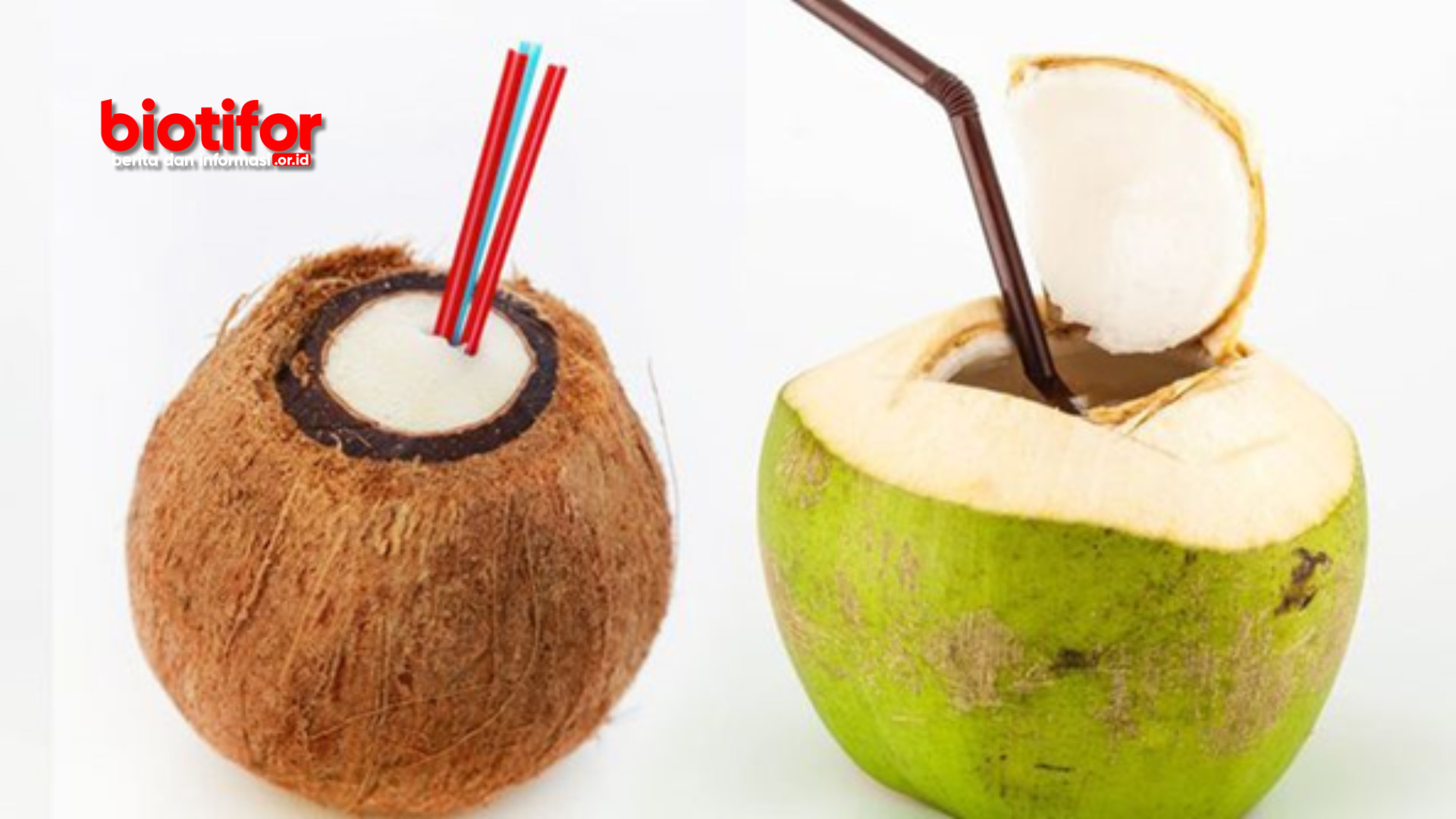 Cara membedakan kelapa muda dan tua