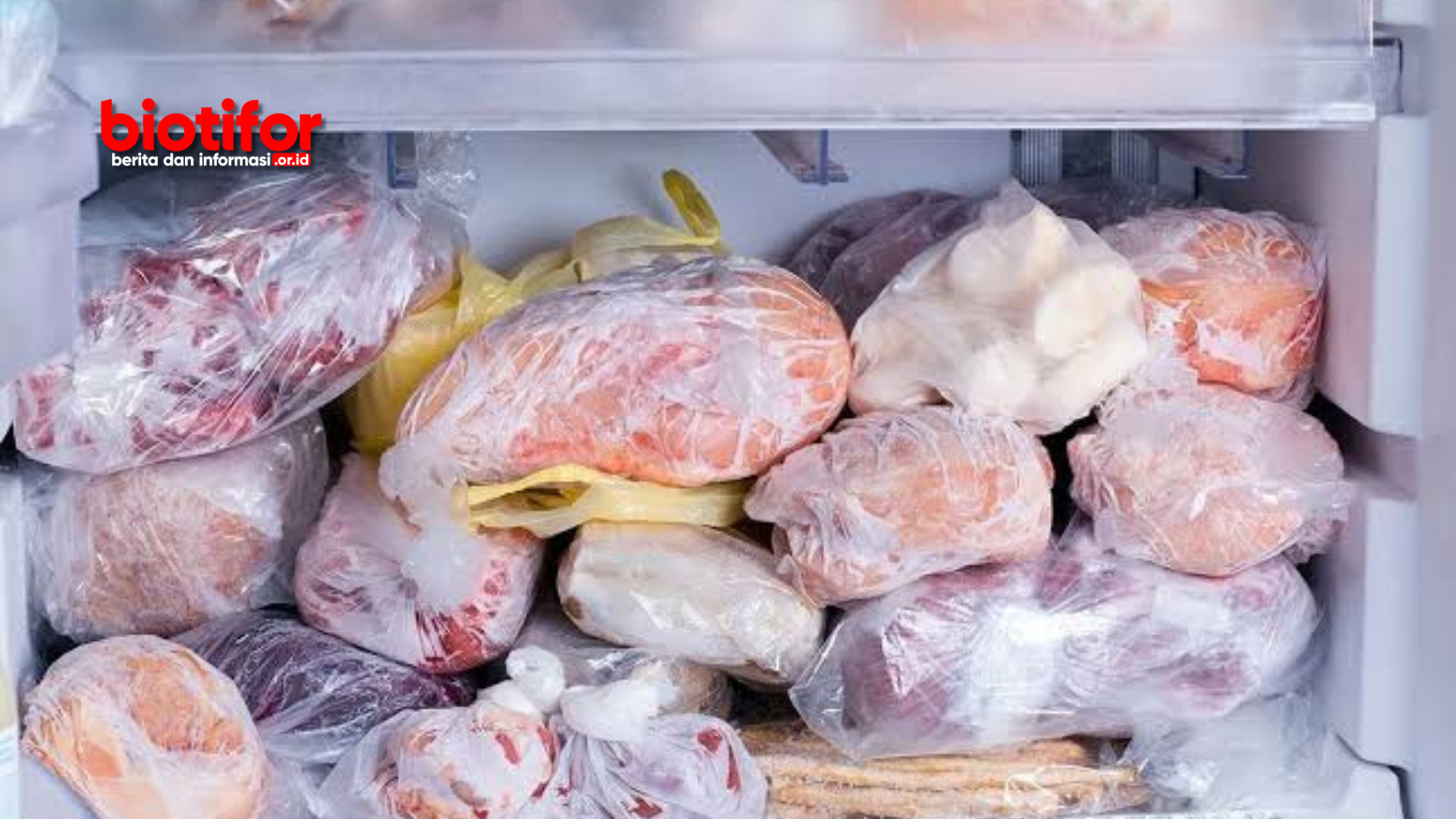 Cara Menyimpan Daging Ayam di Kulkas