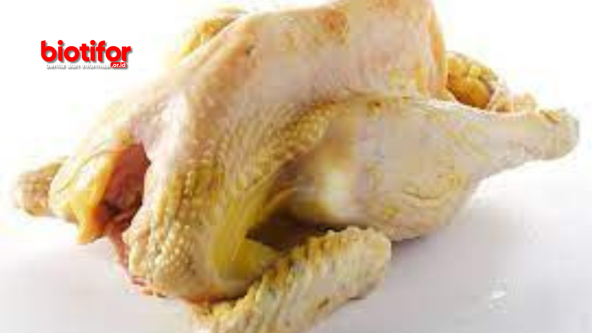 Cara Melunakan Daging Ayam yang Alot Tiips Dan Trik