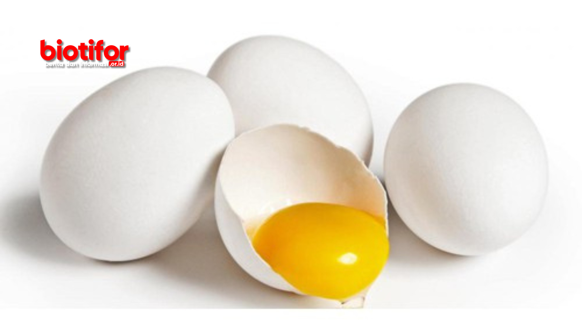 Manfaat Telur Ayam Kampung Mentah